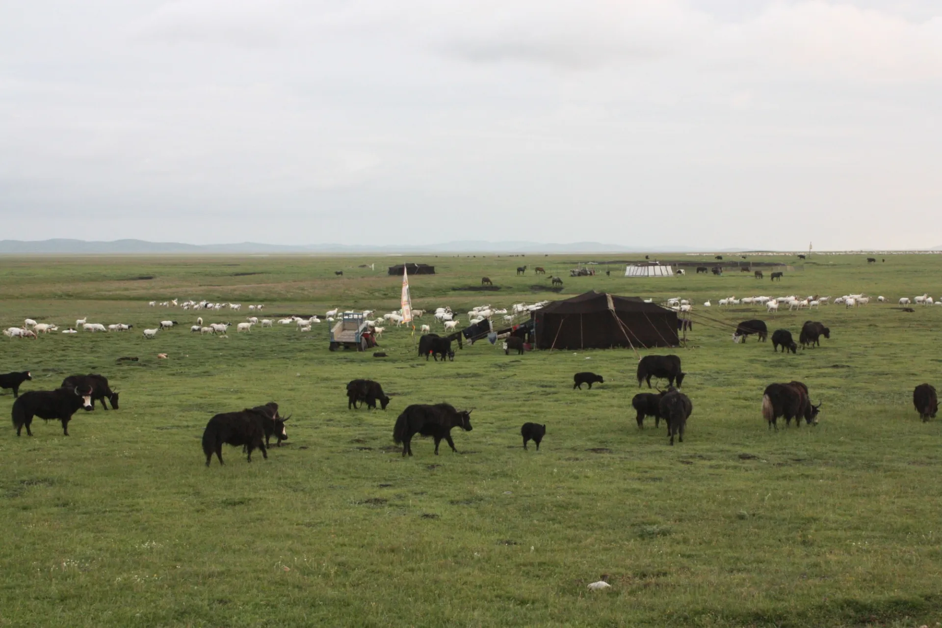 Pastoral regions of Sichuan Province