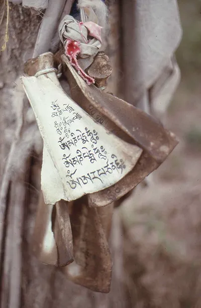 1991 08 Kumbum Gompa Huangzhong 004.jpg