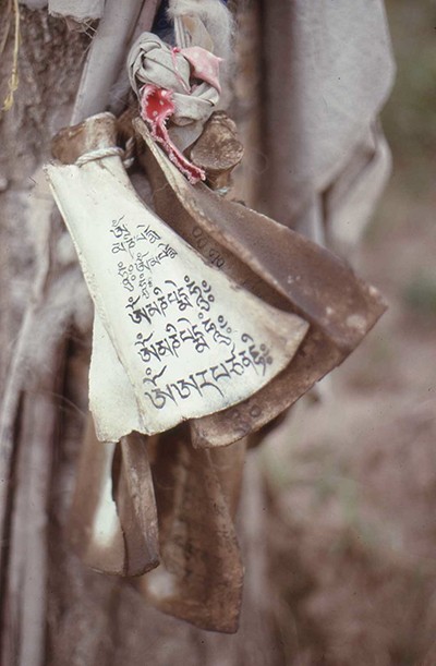 1991 08 Kumbum Gompa Huangzhong 004