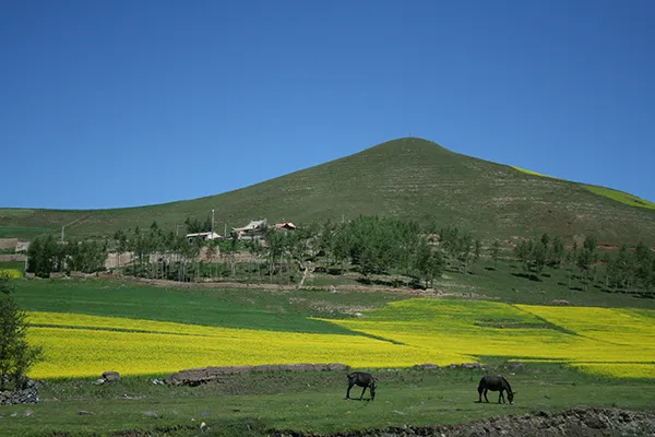 Cantsa Srid Gechuk Gon 1074.JPG